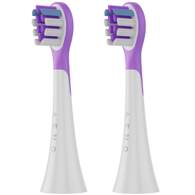 AENO — Εικών №1