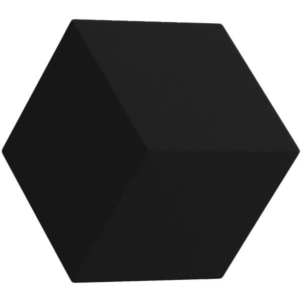 Beosound Shape Amplifier Black