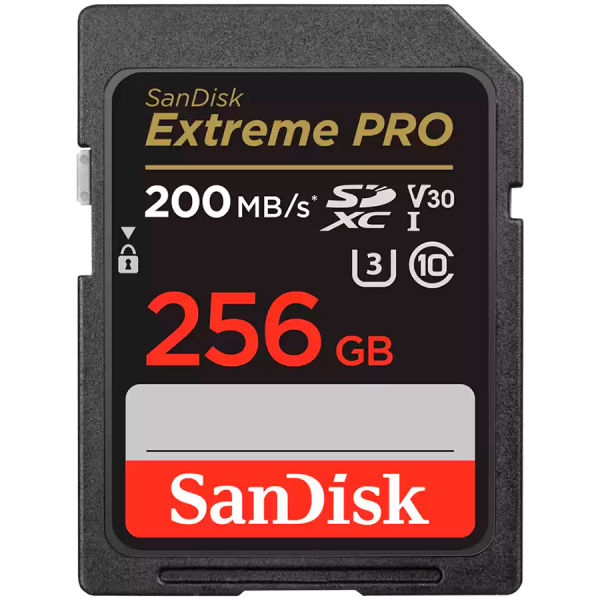 MEMORY SDXC 256GB UHS-1/SDSDXXD-256G-GN4IN SANDISK