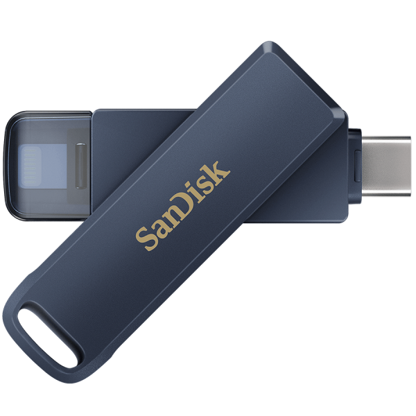 MEMORY DRIVE FLASH USB-C 256GB/SDIXD0N-256G-GN6NE SANDISK