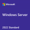 Windows Server CAL 2022 English 1pk DSP OEI 1 Clt Device CAL