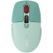 CANYON mouse MW-26 LCD Silent Dual Mode Wireless Green