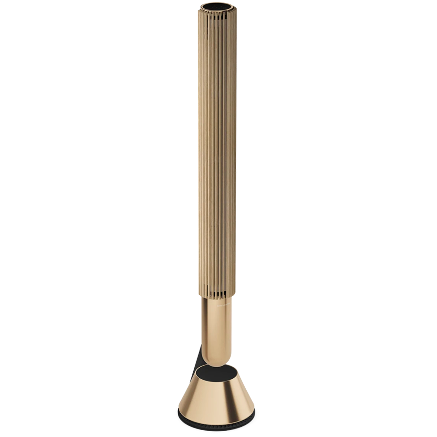 Beolab 28 Woofer Gold Tone
