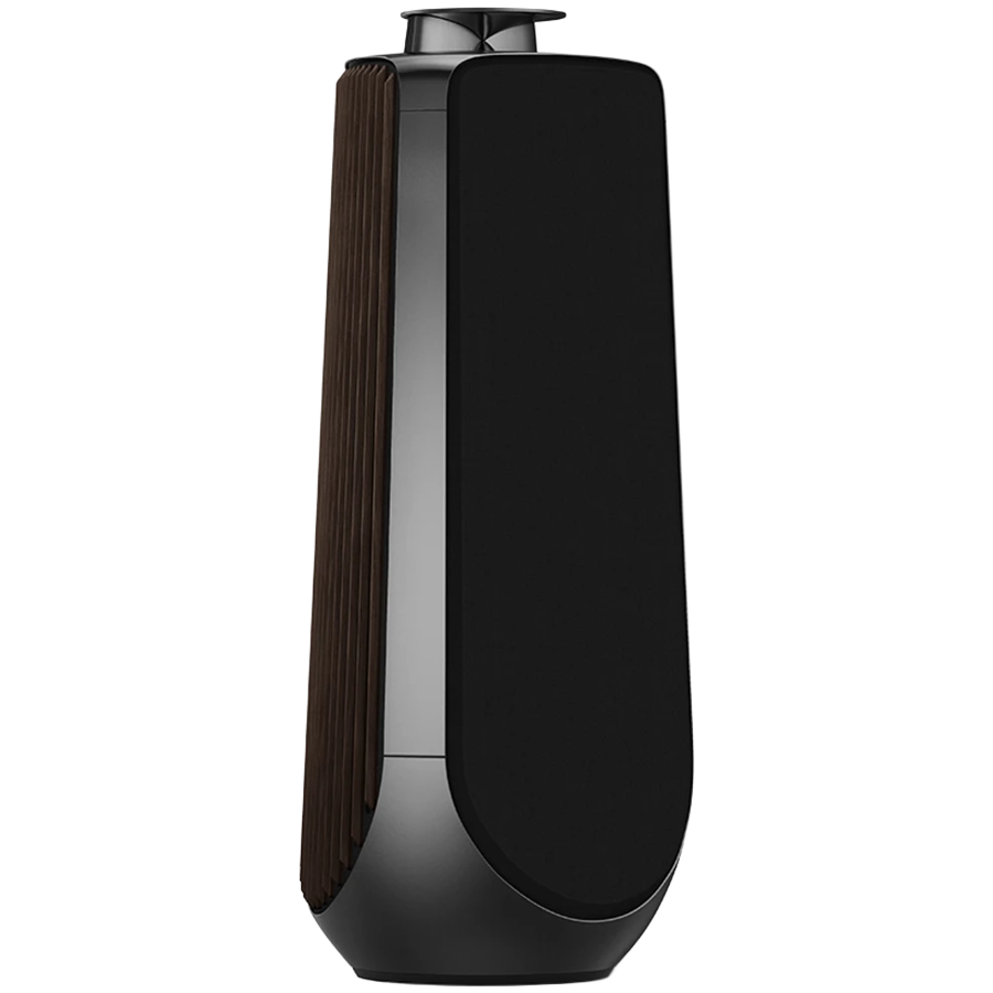 Beolab 50 Speaker (Secondary) Black Anthracite