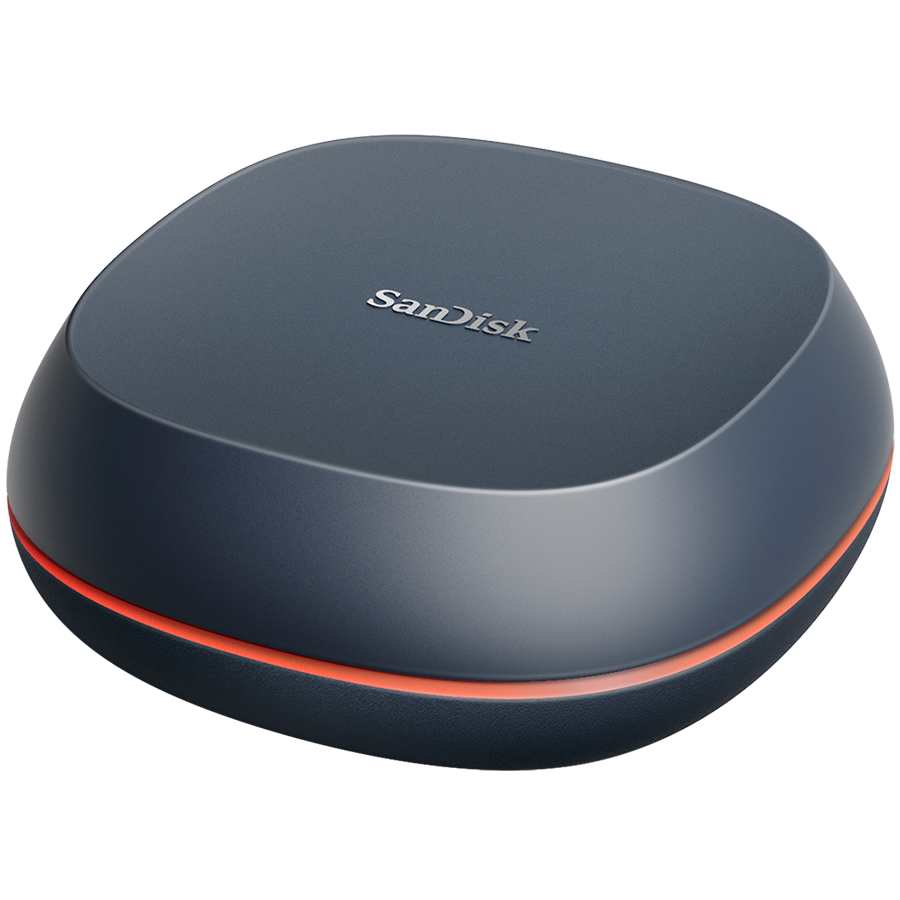 External SSD|SANDISK BY WESTERN DIGITAL|8TB|USB-C|Write speed 900 MBytes/sec|Read speed 1000 MBytes/sec|SDSSDT40-8T00-EM25