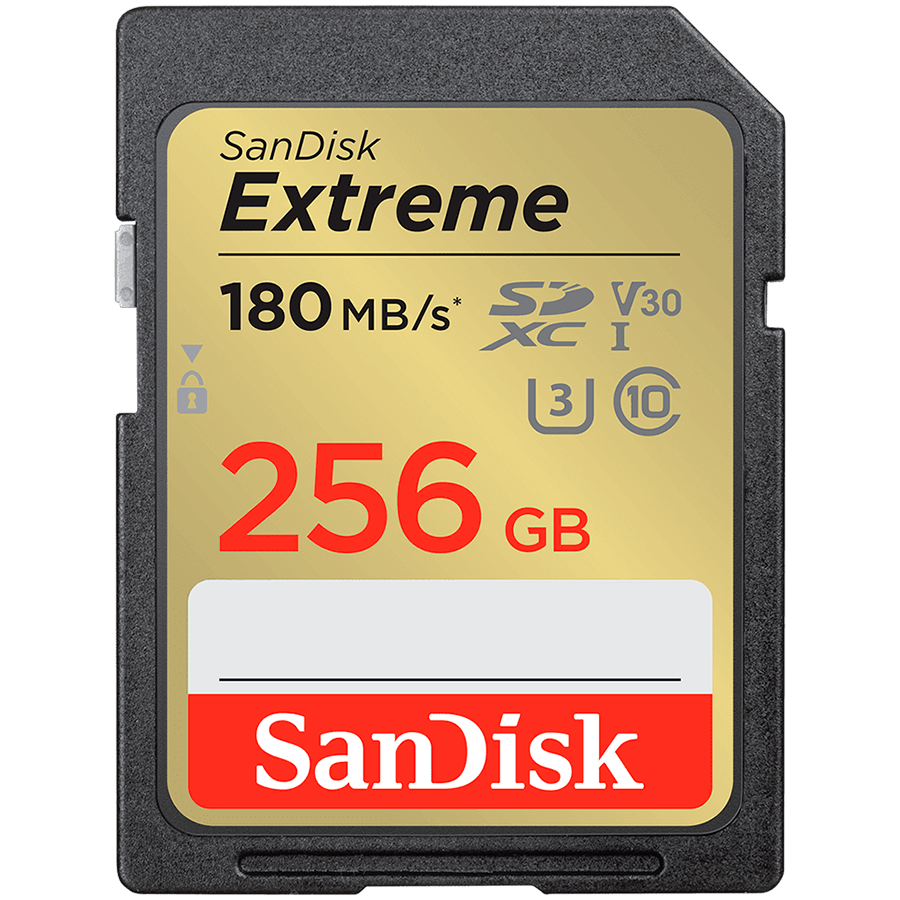 MEMORY SDXC 256GB UHS-1/SDSDXVV-256G-GNCIN SANDISK