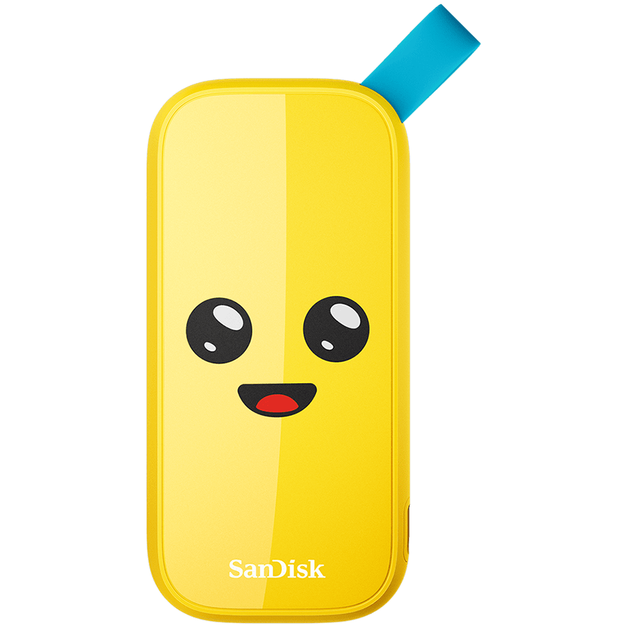 External SSD|SANDISK|1TB|USB 3.2|Read speed 800 MBytes/sec|SDSSDE30-1T00-G25F